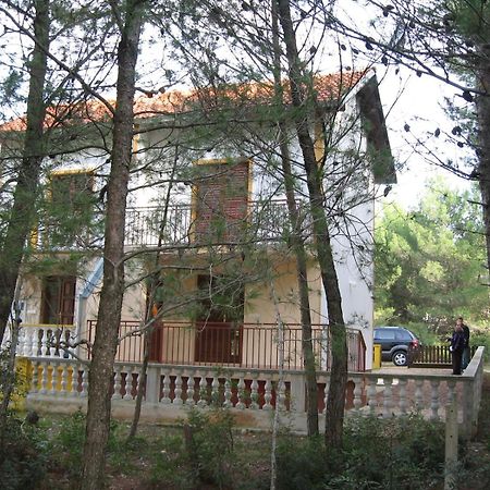 Apartament The White House Croatia Bibinje Zewnętrze zdjęcie