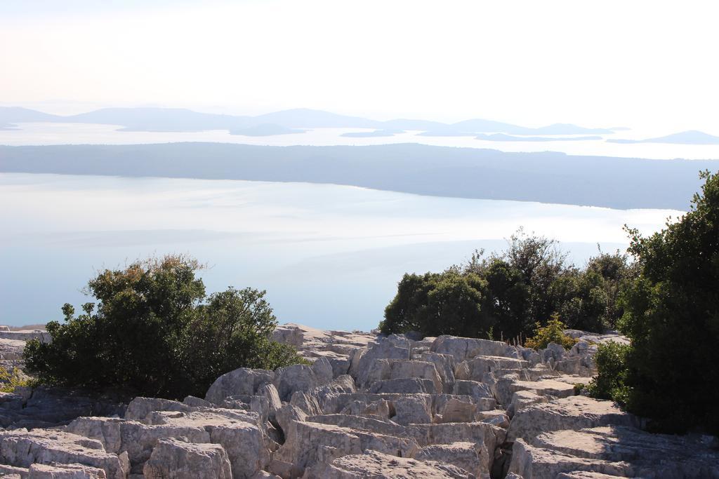 Apartament The White House Croatia Bibinje Zewnętrze zdjęcie